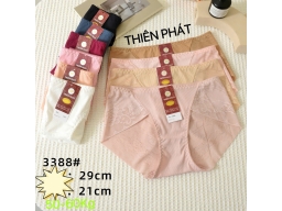 QUẦN THIÊN PHÁT 3388-  LỐC 10 CÁI